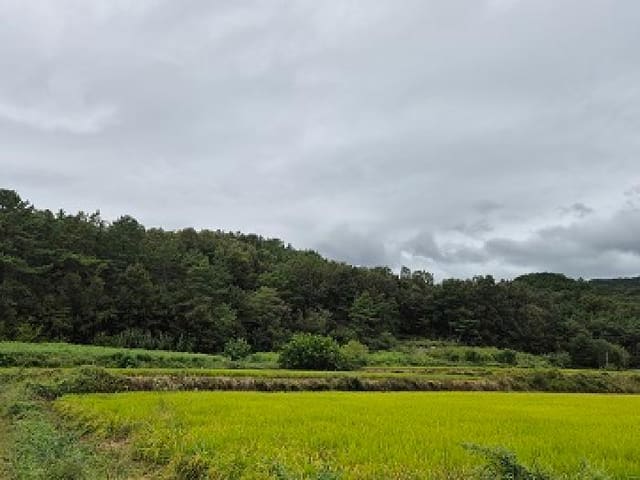 B000315202501300003912.jpg