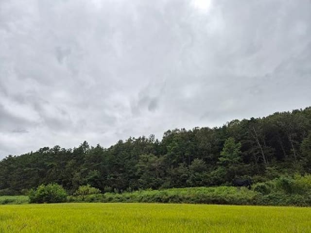B000315202501300003911.jpg