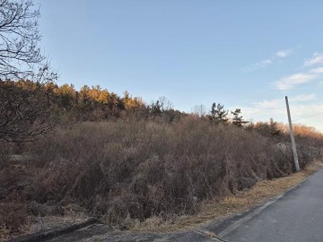 B000315202501300005371.jpg