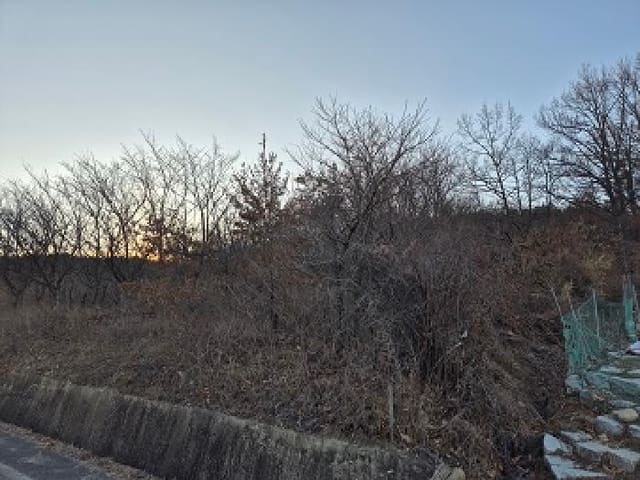 B000315202501300005373.jpg