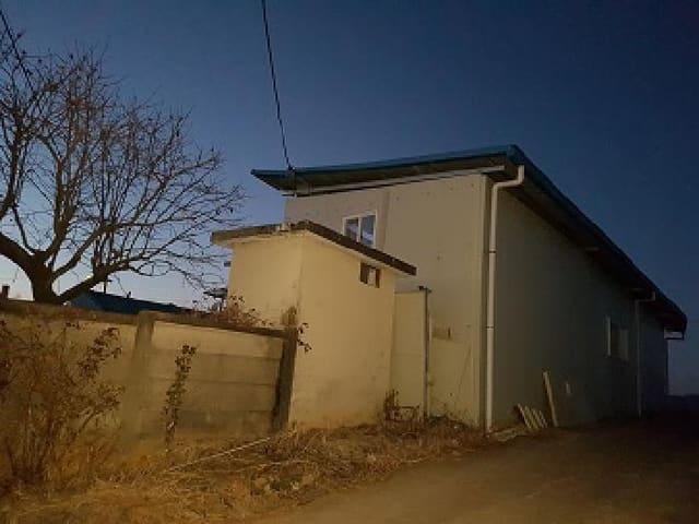 B000315202501300101263.jpg