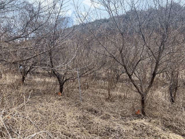 B000315202501300101304.jpg