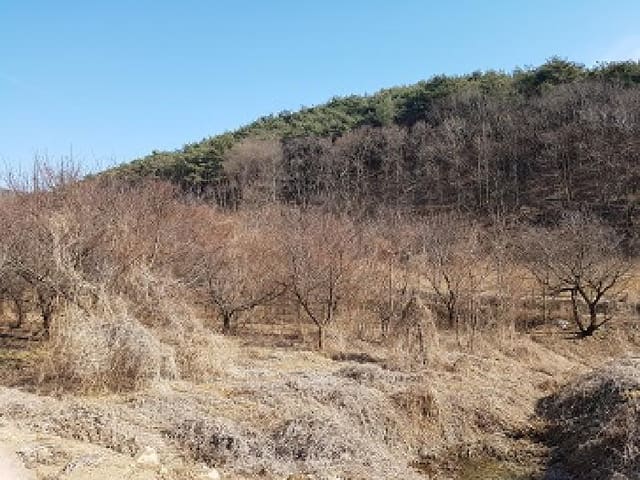 B000315202501300101301.jpg