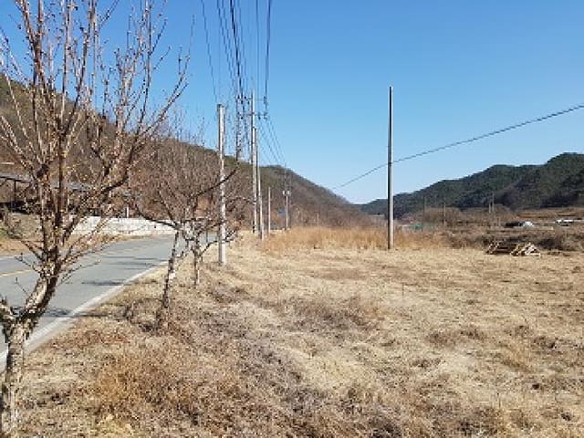 B000315202501300101371.jpg