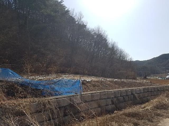 B000315202501300101373.jpg