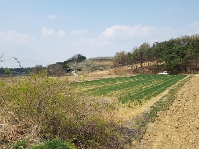 B000315202501300101502.jpg