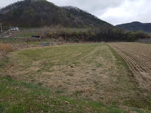 B000315202501300101504.jpg