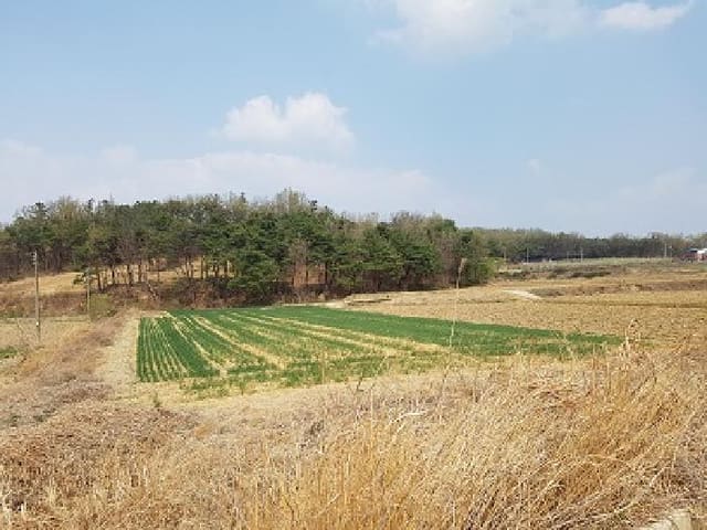 B000315202501300101503.jpg