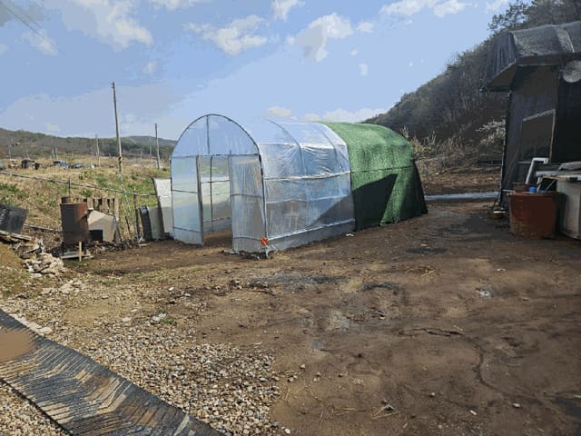 B0003152025013001015215.jpg