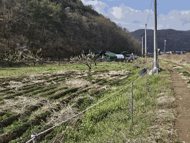 B0003152025013001015216.jpg