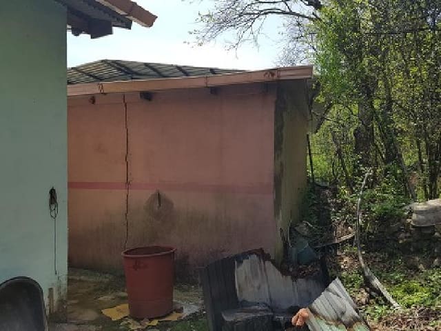 B0003152025013001015313.jpg