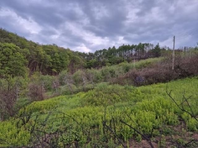 B000315202501300101612.jpg