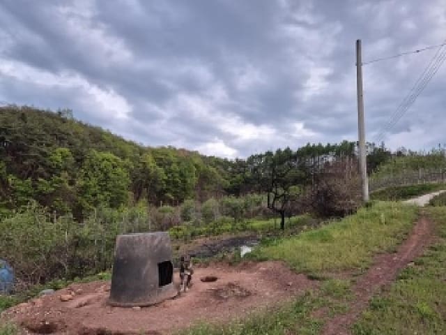 B000315202501300101611.jpg