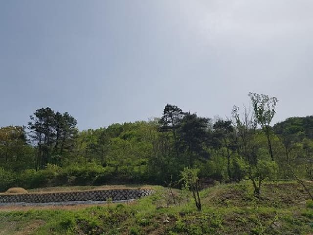 B000315202501300101672.jpg
