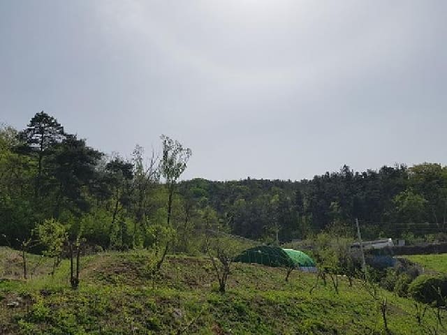 B000315202501300101673.jpg