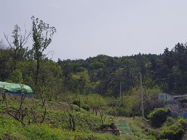 B000315202501300101674.jpg