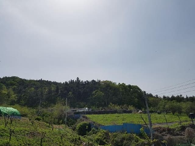 B000315202501300101671.jpg