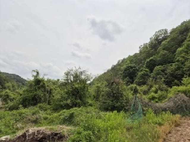 B000315202501300101743.jpg