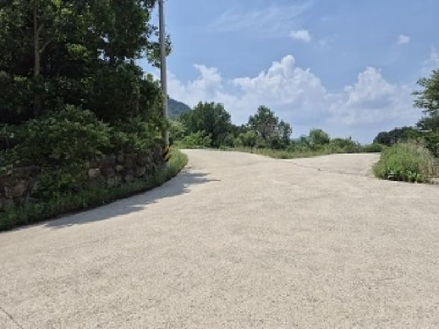 B000315202501300101844.jpg