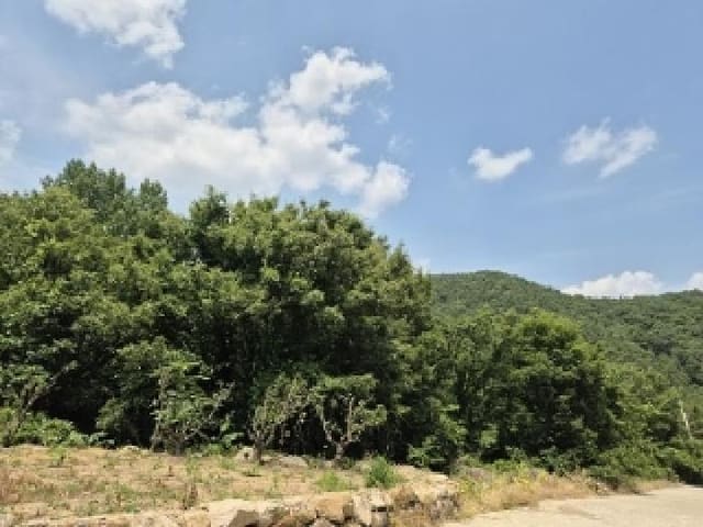 B000315202501300101841.jpg