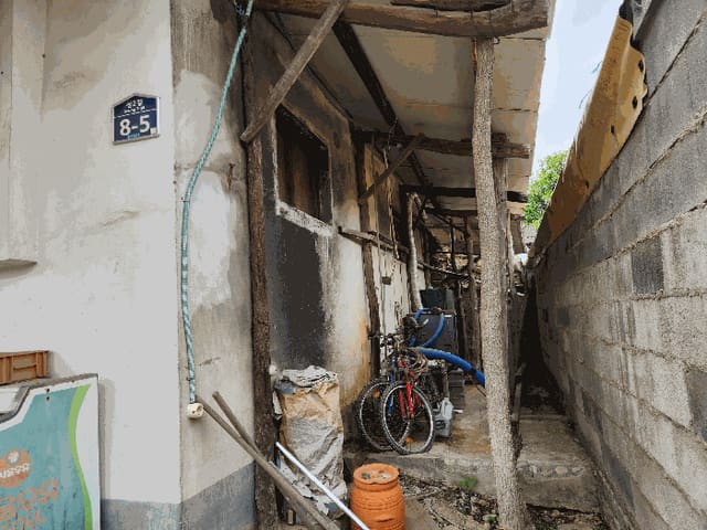 B000315202501300101854.jpg