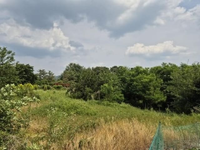 B000315202501300101893.jpg