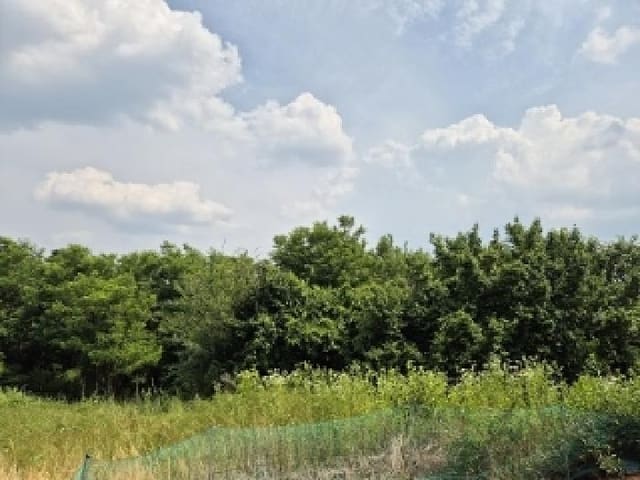 B000315202501300101892.jpg
