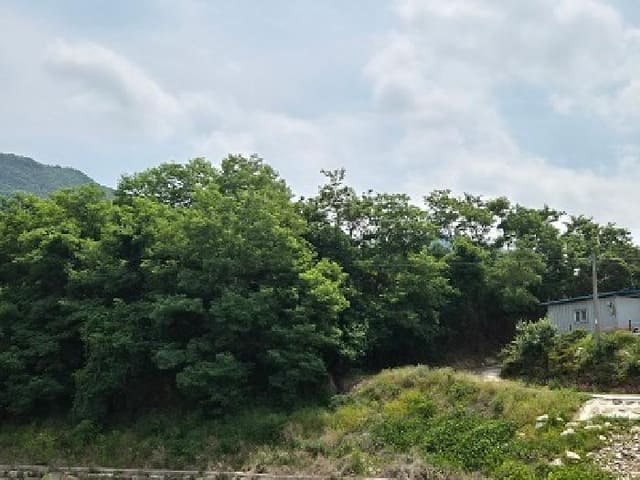 B000315202501300101973.jpg