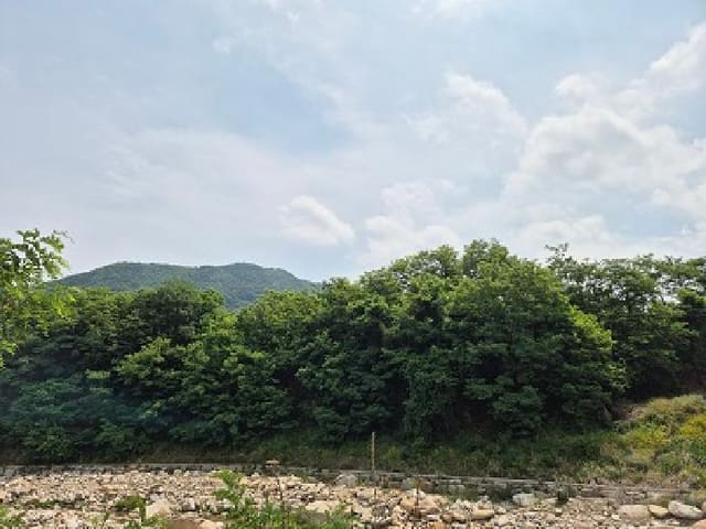 B000315202501300101971.jpg