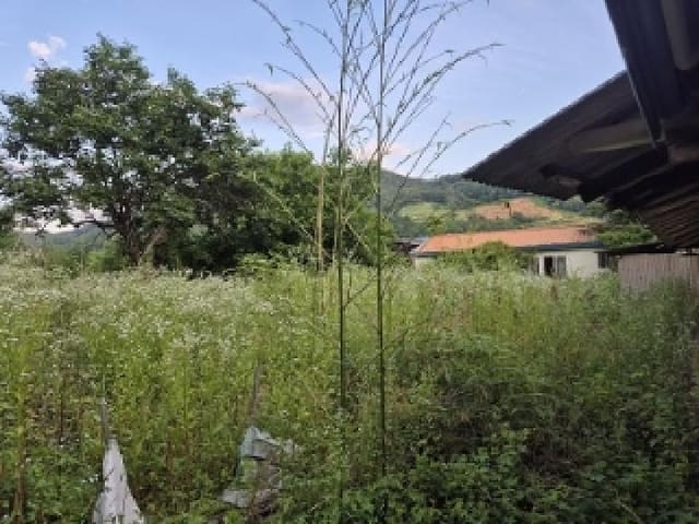 B000315202501300102001.jpg