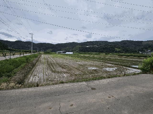 B000315202501300102044.jpg