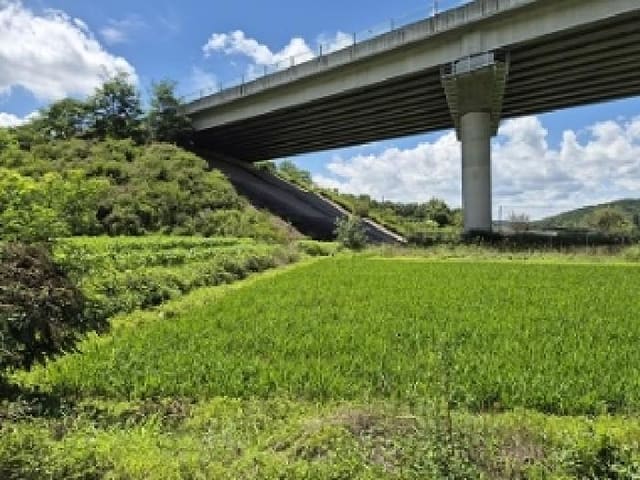 B000315202501300102143.jpg
