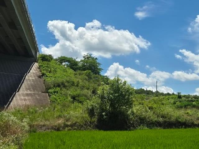 B000315202501300102141.jpg