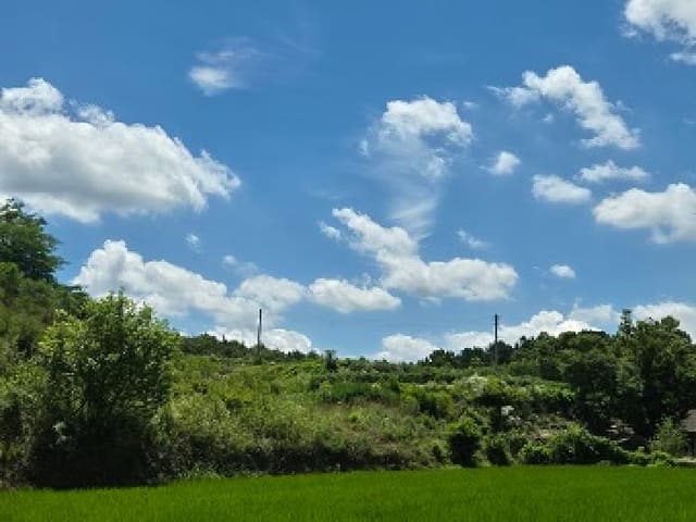 B000315202501300102142.jpg