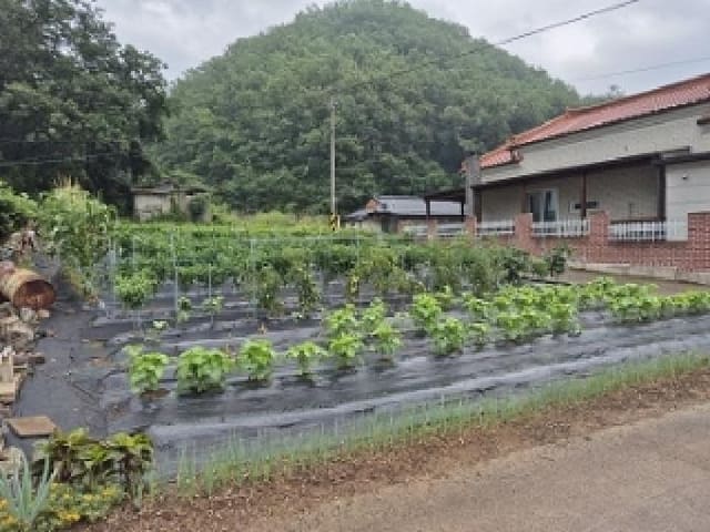 B000315202501300102204.jpg