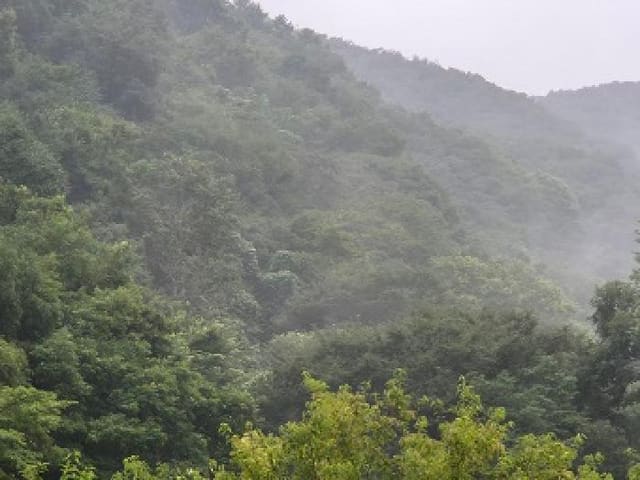 B000315202501300102274.jpg