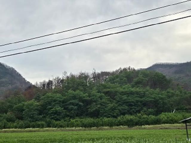B000315202501300102351.jpg