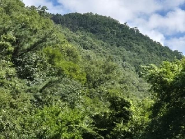 B000315202501300102381.jpg
