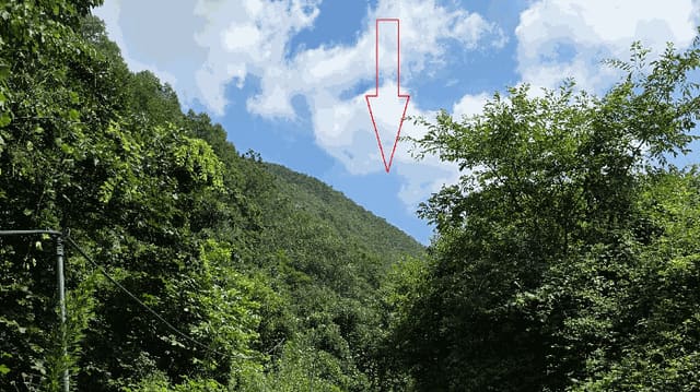 B000315202501300102383.jpg