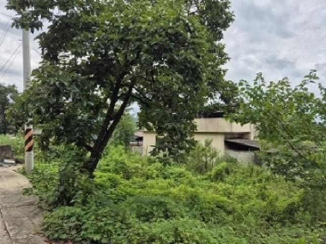 B000315202501300102503.jpg