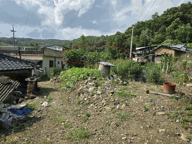 B000315202501300102504.jpg