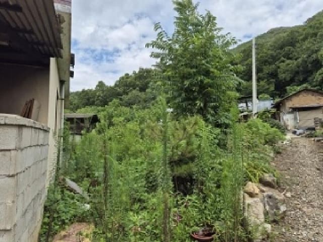 B000315202501300102502.jpg