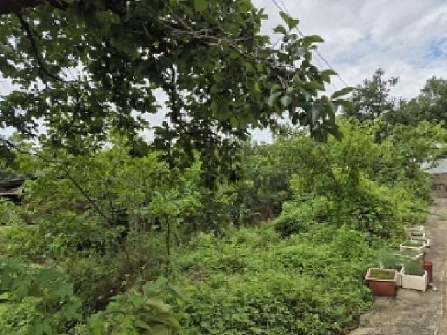 B000315202501300102501.jpg