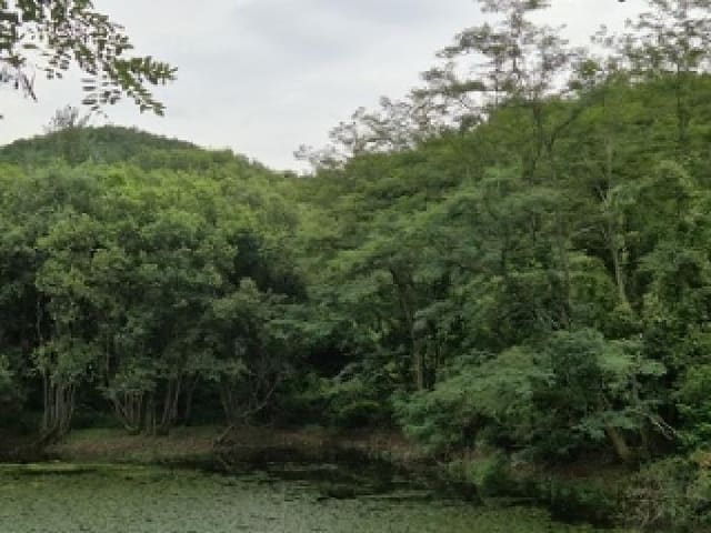 B000315202501300102553.jpg