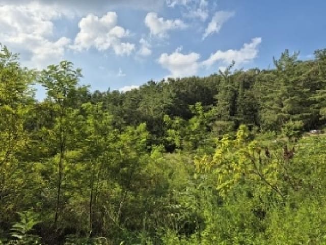 B000315202501300102622.jpg