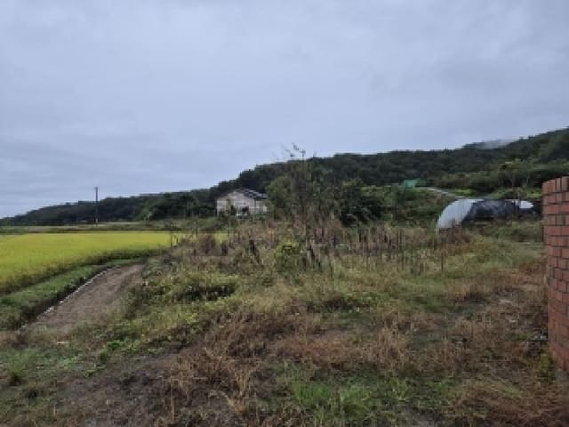 B000315202501300102761.jpg