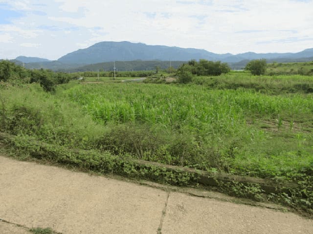 B000315202501300102794.jpg