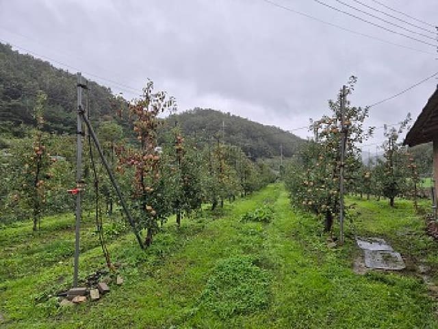 B000315202501300102952.jpg