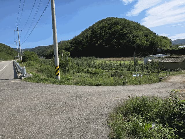 B000315202501300102954.jpg