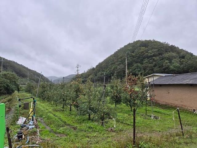 B000315202501300102951.jpg